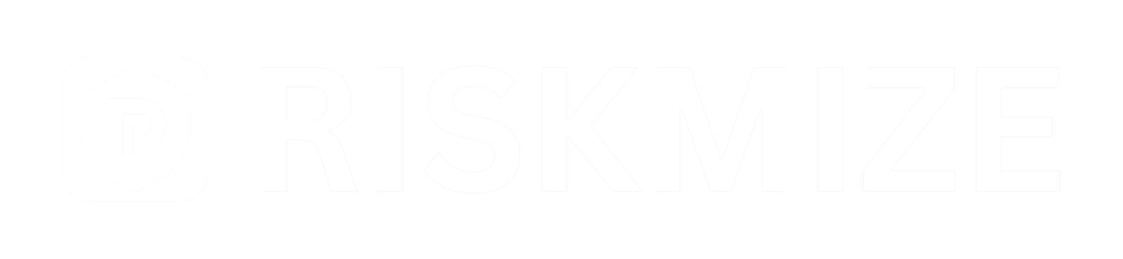 RiskMize Logo